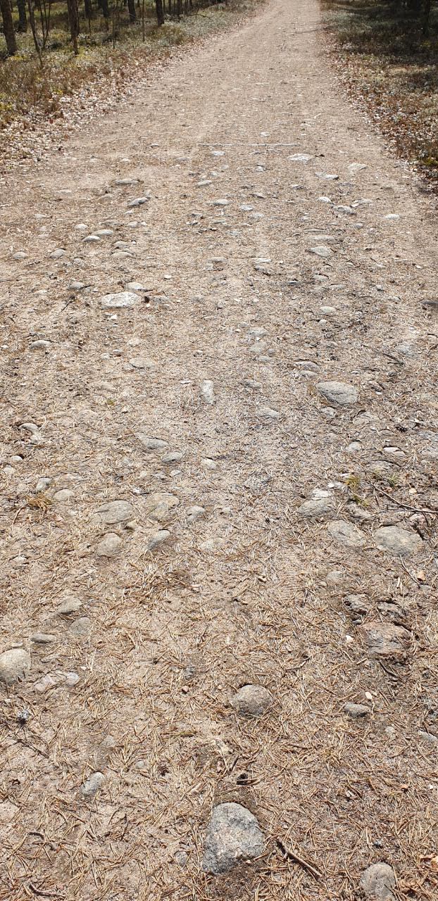 Kuva: Näkyvissä tien pinnoitteena käytettyjä mukulakiviä. Teija Tiitinen 4.5.2021