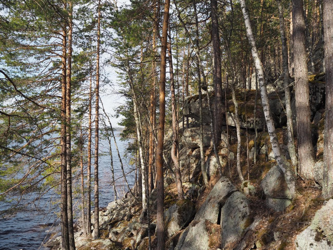 Kuva: Enonkoski Kurtinvuori. Kalliomaalauksia siirtolohkareen luolalamaisessa osassa. Kuvattuna kohti länttä. Teemu Mökkönen 11.5.2021