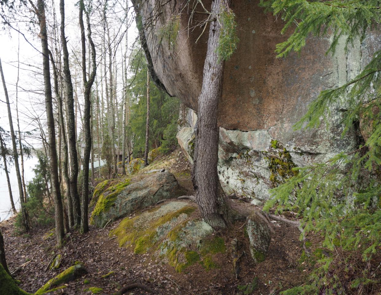 Kuva: Luumäki Kalamaniemi 2. Yleiskuva kalliomaalauksen paikasta kuvattuna kohti pohjoista. Maalaus sijaitsee kallion sisäänpäin koverassa osassa kuvassa oikealla. Teemu Mökkönen 10.05.2021