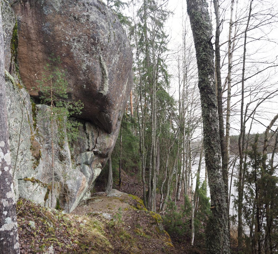 Kuva: Luumäki Kalamaniemi 2. Yleiskuva kalliomaalauksen paikasta kuvattuna kohti etelää. Maalaus sijaitsee kallion sisäänpäin viiston lipan alla. Kalliomaalauspinta ei näy kuvassa. Teemu Mökkönen 10.05.2021