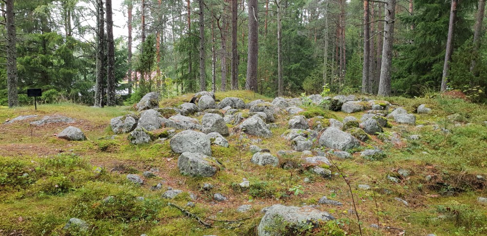 Kuva: Pohjoista muinaisjäännösaluetta. Turun museokeskus. CC BY 4.0 Riikka Mustonen 11.9.2019