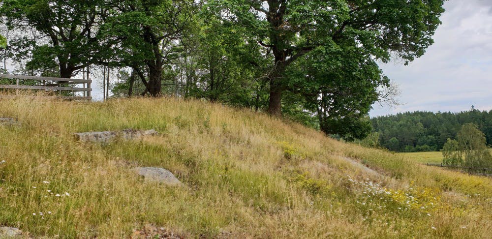 Kuva: Kylämäki. Kalmistomäen eteläreunaa, kuvattu lännestä. Turun museokeskus. CC BY 4.0 Riikka Mustonen 11.7.2019