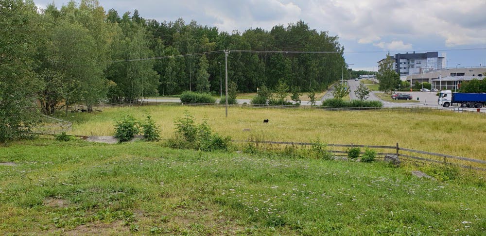 Kuva: Kylämäki. Näkymä mäeltä länteen, kuvattu etelästä. Turun museokeskus. CC BY 4.0 Riikka Mustonen 11.7.2019