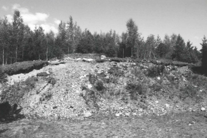 Kuva: Sorakuopan reunaa etelästä. 108705. Turun museokeskus. CC BY 4.0 Janne Harjula 1997