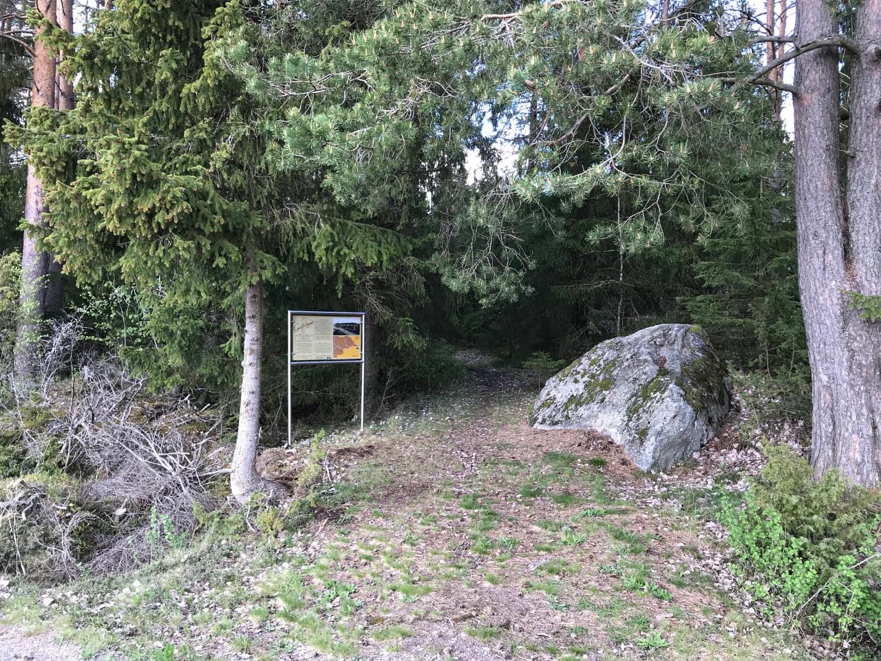 Kuva: Gulldyntin kalmistoalueelle johtava polku. Satu Mikkonen-Hirvonen 18.5.2021