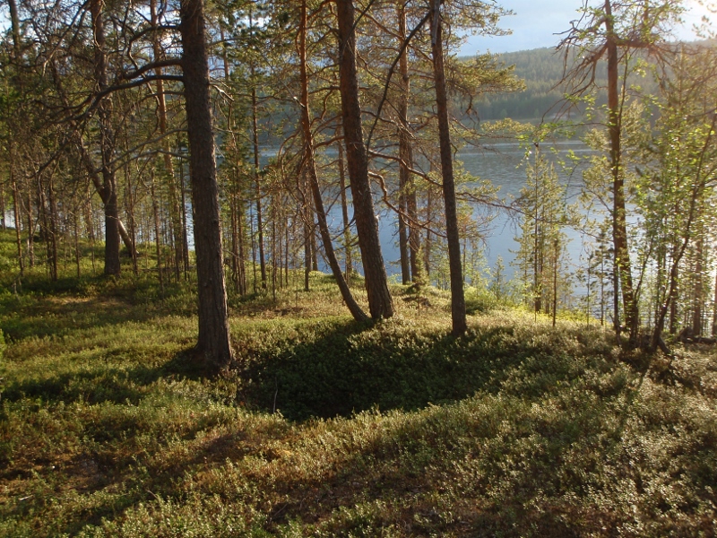Kuva: Sotkajärvi/Njurkulahti. Sami Viljanmaa / Metsähallitus. CC BY 4.0 Sami Viljanmaa 2013