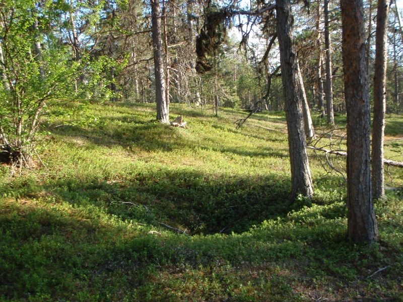 Kuva: Muurahaislampi luode. Sami Viljanmaa / Metsähallitus. CC BY 4.0 Sami Viljanmaa 2013