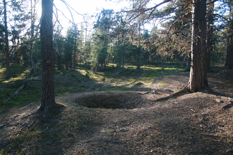 Kuva: Morgamoja. Sami Viljanmaa / Metsähallitus. CC BY 4.0 Sami Viljanmaa 2013