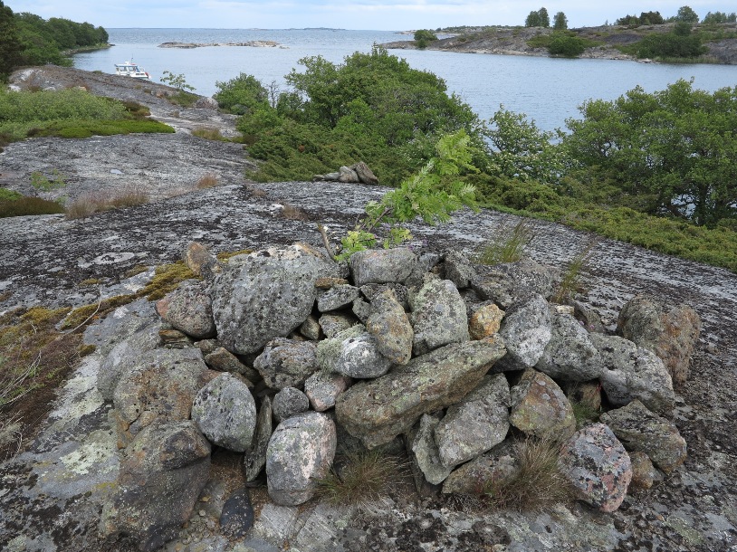 Kuva: Långlandet, linjakummelit. Tapani Tuovinen / Metsähallitus. CC BY 4.0 Tapani Tuovinen 2014
