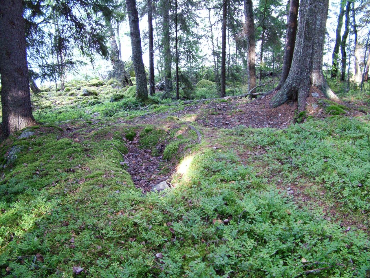 Kuva: Syvä hautamainen painanne Ruumissaaren pohjoisosassa. Kuvattu itään. Juha Ruohonen. CC BY 4.0 Juha Ruohonen 14.8.2008