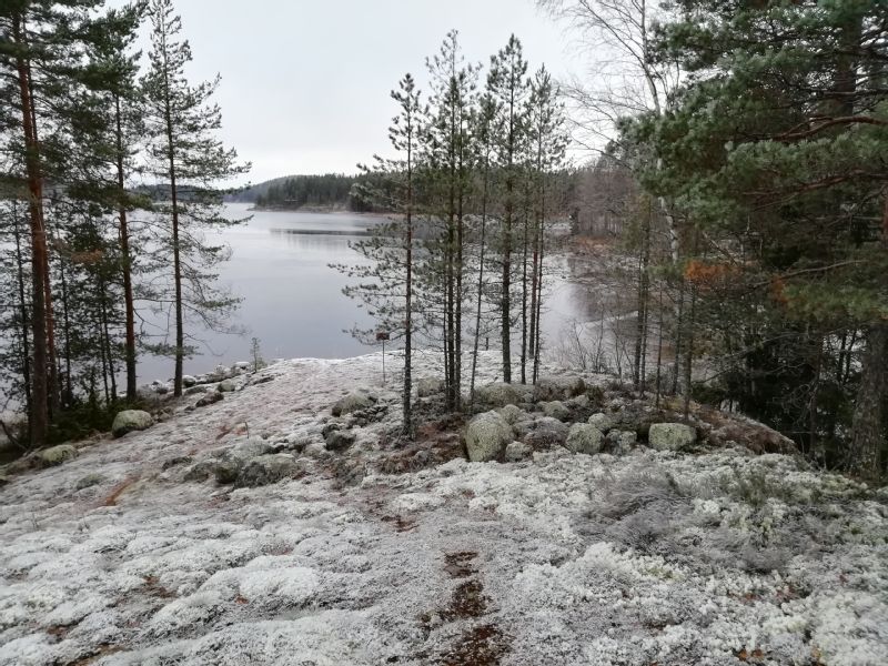 Kuva: Oraniemen röykkiöalueen pohjoisosaa. Kuvattu etelästä.  Tampereen museot. CC BY 4.0 Kirsi Luoto 7.11.2019