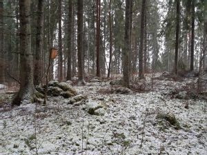 Kuva: Torittun kaskiröykkiöaluetta kuvattuna etelästä.  Tampereen museot. CC BY 4.0 Kirsi Luoto 18.12.2020