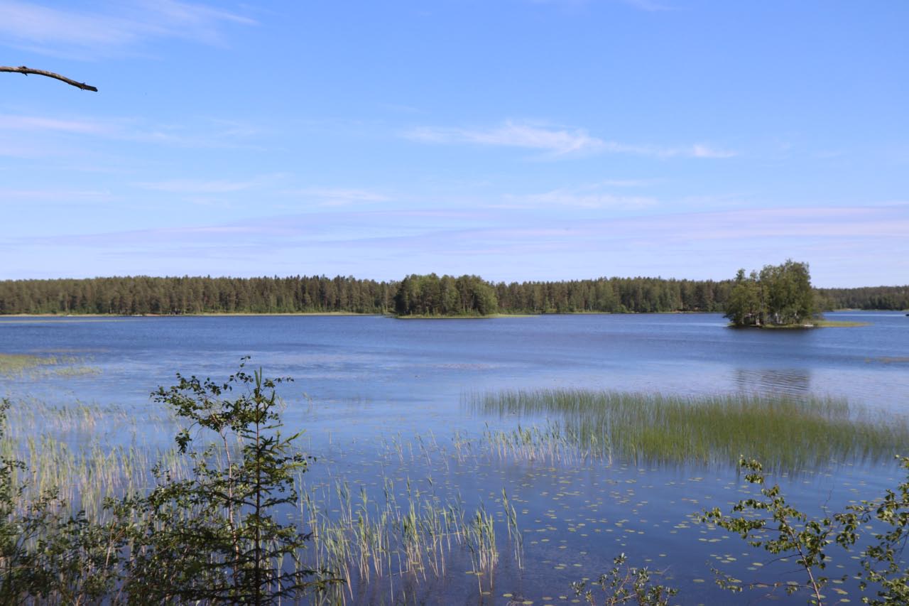 Kuva: Yleiskuva Ruumissaaresta, kuvattu pohjoiseen Kultaniemen rannasta. Janne Rantanen. CC BY 4.0 Janne Rantanen 17.6.2021