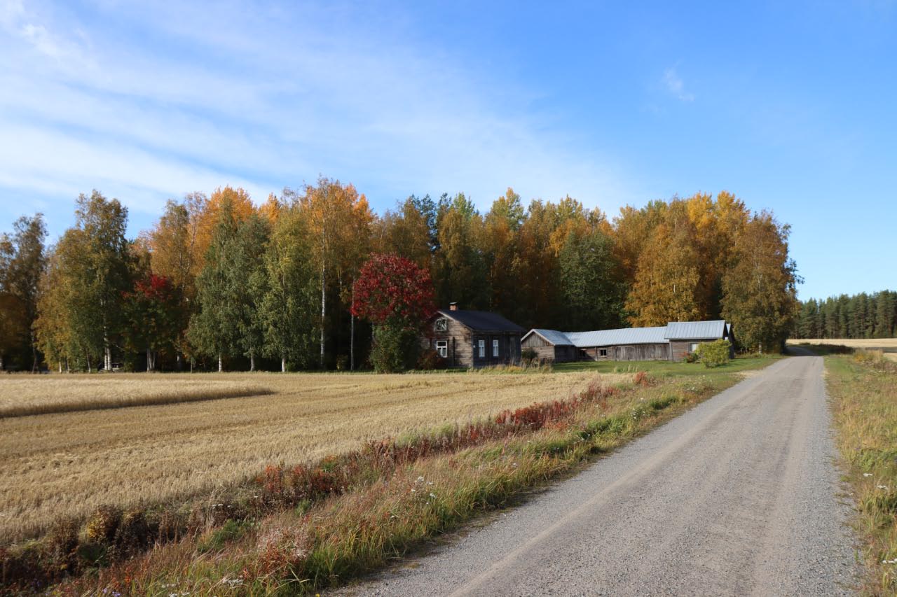 Kuva: Yleiskuva pohjoiseen. Kuvassa vasemmalla pellossa kohde Puronvarsi 1, taustalla olevassa metsikössä Timonen 1. Janne Rantanen. CC BY 4.0 Janne Rantanen 25.9.2020