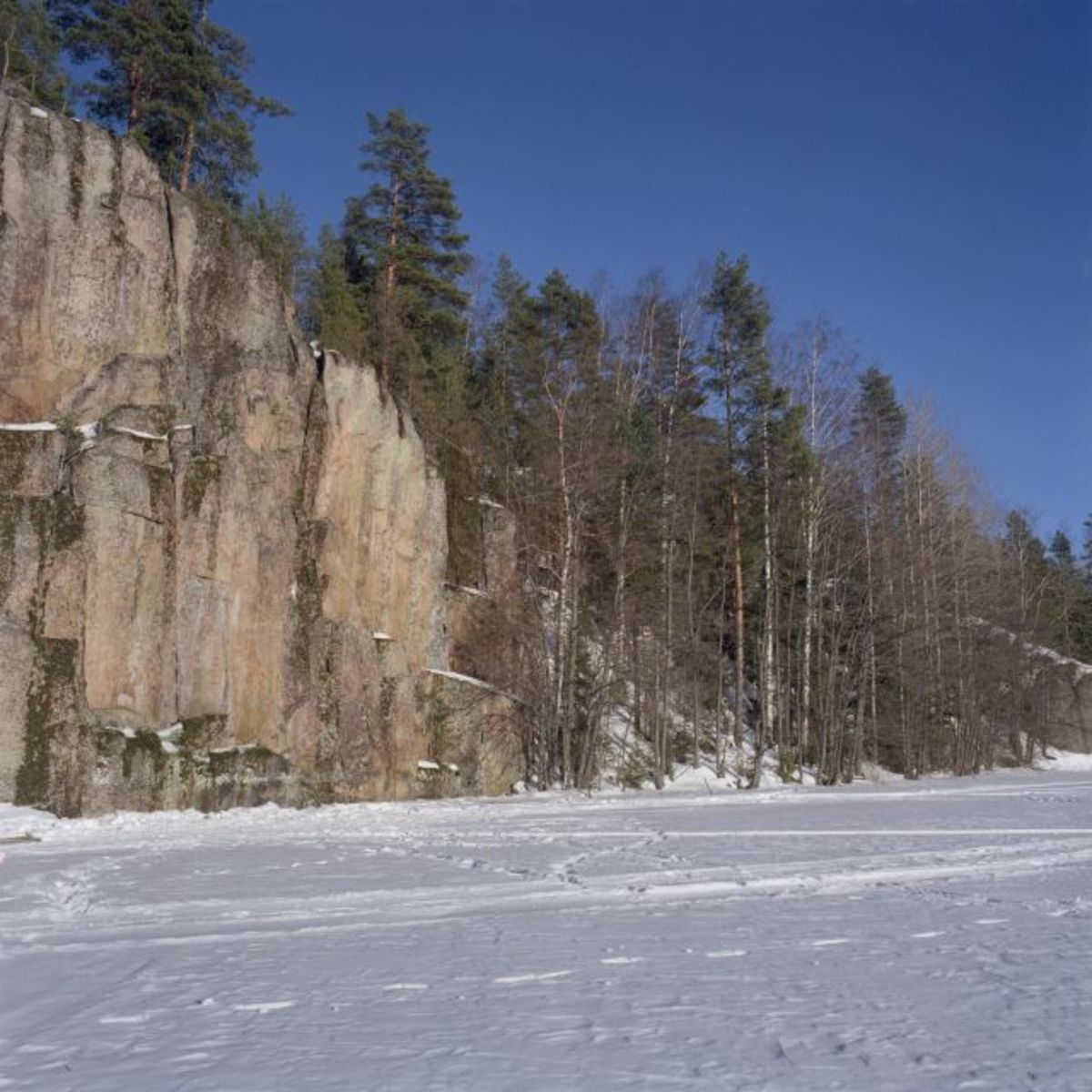 Kuva: Iitin Kotojärven Haukkavuoren kalliomaalaus, näkymä kohti maalauskalliota, yleiskuva Ismo Luukkonen 2004