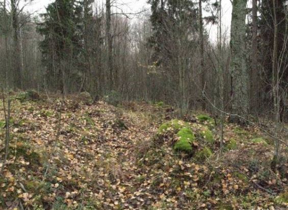 Kuva: Kakolanmäen etelärinteellä tien reunalle koottuja kiviä. Veli-Pekka Suhonen 2007