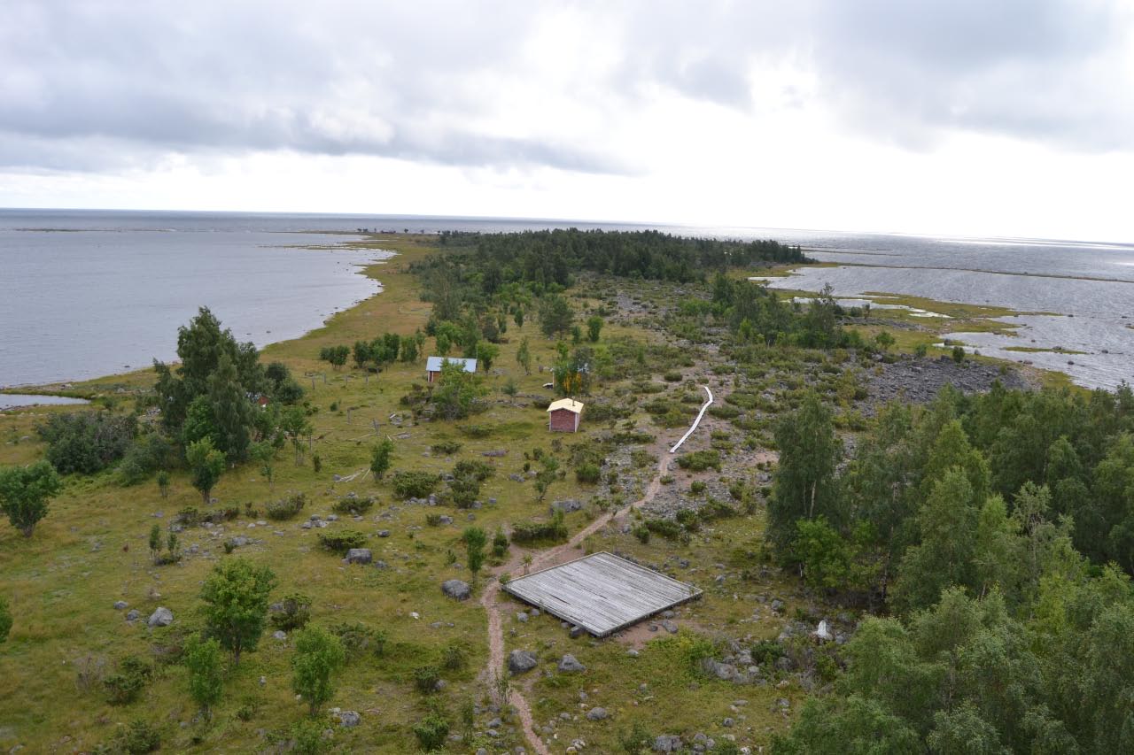 Kuva: Selkä-Sarvi. Tornionlaakson museo CC BY 4.0 Terhi Tanska 4.8.2020