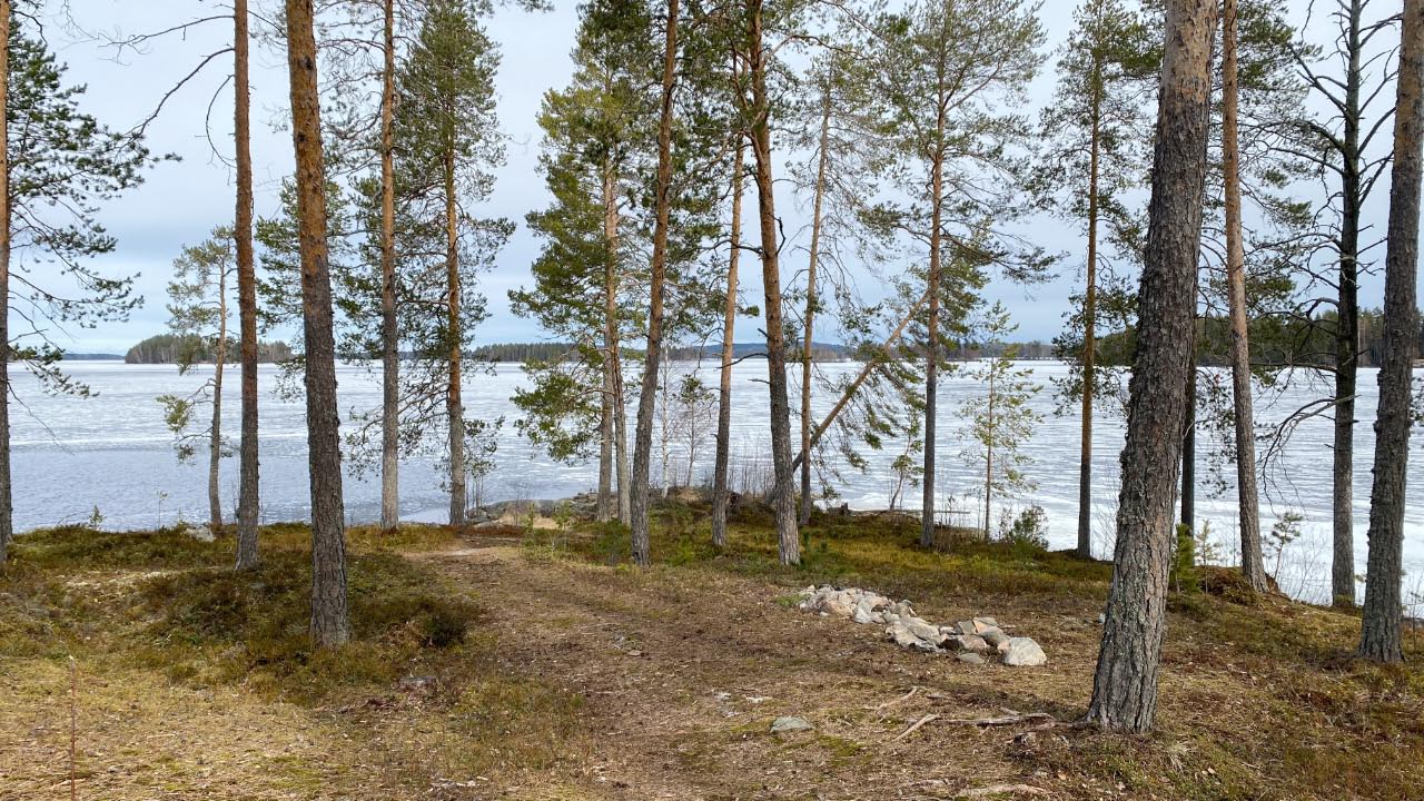 Kuva: Polttohautauksen kivirakenne ennallistettuna tutkimusten jälkeen. Kuopion kulttuurihistoriallinen museo. CC BY 4.0 Tytti Räikkönen 30.4.2021