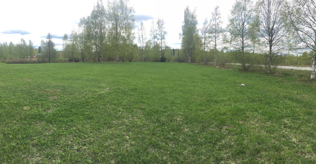 Kuva: Kuvattu kohti lounaista. Kalmistoalue peltoalueella kuvan keskellä olevan koivikon edessä. Kuopion kulttuurihistoriallinen museo. CC BY 4.0 Tytti Räikkönen 29.5.2020