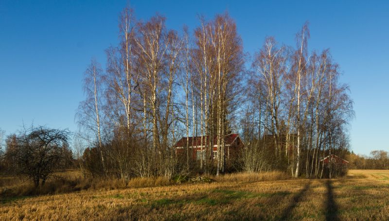 Kuva: Muinaisjäännösaluetta kuvattuna kaakosta. Tampereen museot. CC BY 4.0 Piritta Häkälä 28.12.2020