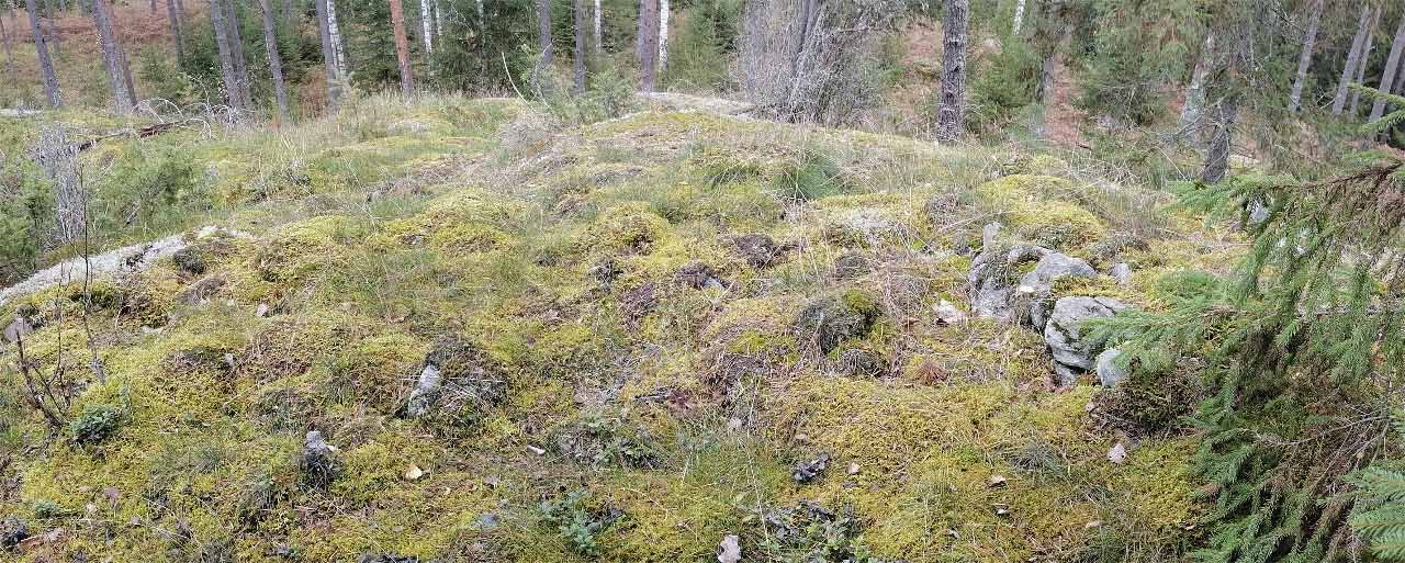 Kuva: Ilmeisesti aiemmin kartoittamaton röykkiö muinaisjäännösalueen itäosassa kalliokohouman päällä. Kuvattu lounaasta. Länsi-Uudenmaan museo. CC BY 4.0 Tarja Knuutinen 11.10.2021