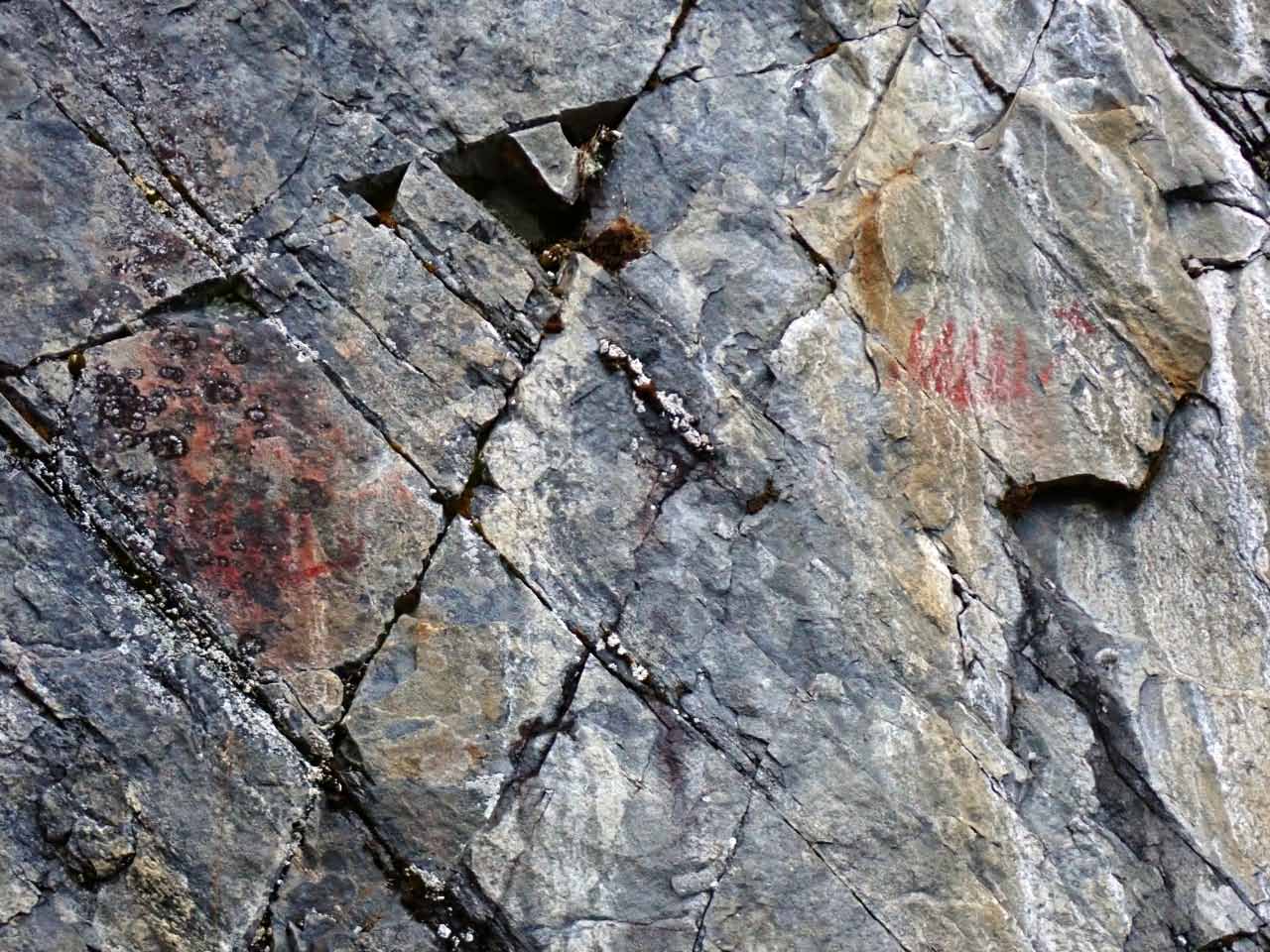 Kuva: Kalliomaalauksessa näkyy selvästi mm. kaksi ns. hirvivenekuviota. Lahden museot / Päijät-Hämeen alueellinen vastuumuseo. CC BY 4.0 Hannu Poutiainen 4.11.2020