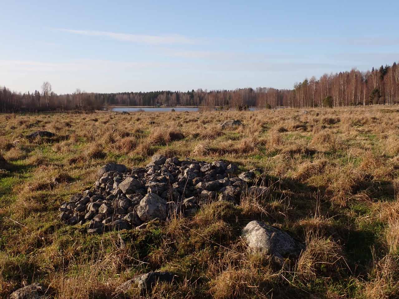 Kuva: Kiviröykkiö, ilmeisesti raivausröykkiö, historiallisella kylätontilla. Lahden museot / Päijät-Hämeen alueellinen vastuumuseo. CC BY 4.0 Hannu Poutiainen 6.11.2020