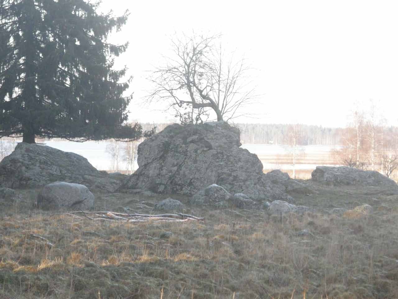 Kuva: Kuppikivi on kivisellä laitumella kuvan keskellä pihlajan alla. Kuppikivi on suuri, lohkeillut, jyrkkäsivuinen kivi, jonka tasaisella yläpinnalla on havaittu ainakin 102 kuppia. Taustalla näkyy Nuoramoisjärvi. Kuvattu luoteeseen. Lahden museot / Päijät-Hämeen alueellinen vastuumuseo. CC BY 4.0 Antti Bilund 9.12.2020