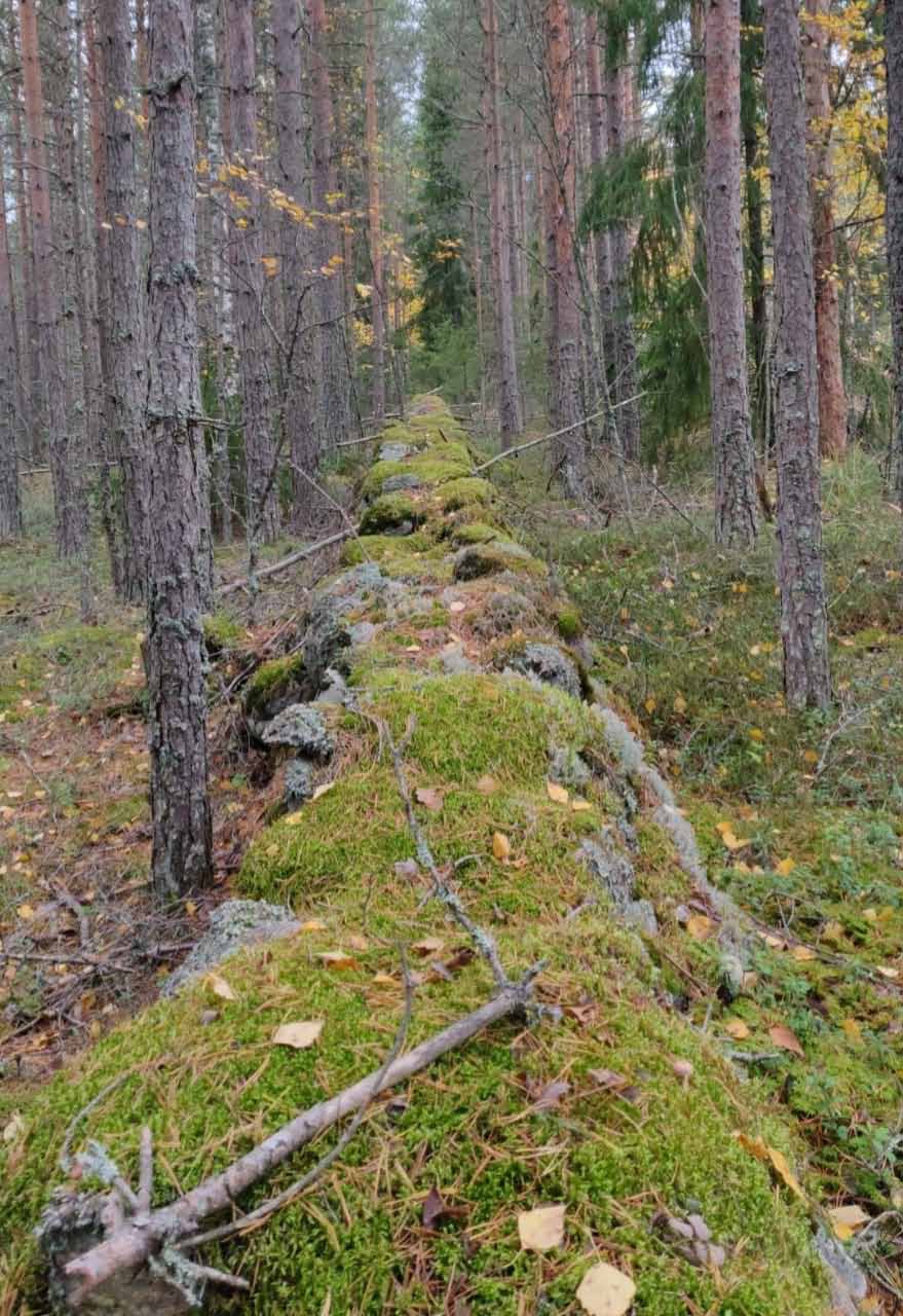 Kuva: Hautausmaan pohjoisaitaa kuvattuna idästä länteen aidan suuntaisesti. Lahden museot / Päijät-Hämeen alueellinen vastuumuseo. CC BY 4.0 Hannu Poutiainen 8.10.2021
