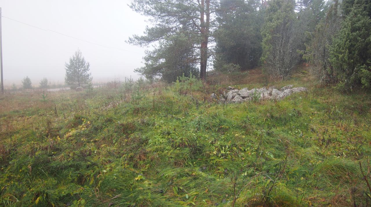 Kuva: Hyvinkää Suomies. Kookas kivikellarin jäänne (kellari 2) sijaitsee harjanteen etelärinteellä. Kuvattu kohti länttä. Teemu Mökkönen 28.10.2021