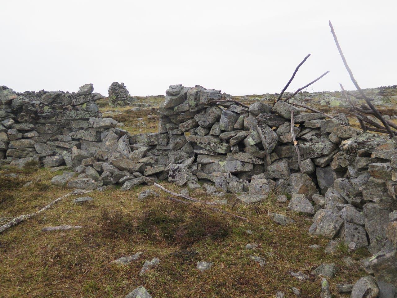 Kuva: Poroaita, sortunutta kivilatomusta. Metsähallitus. CC BY 4.0 Siiri Tolonen 2017