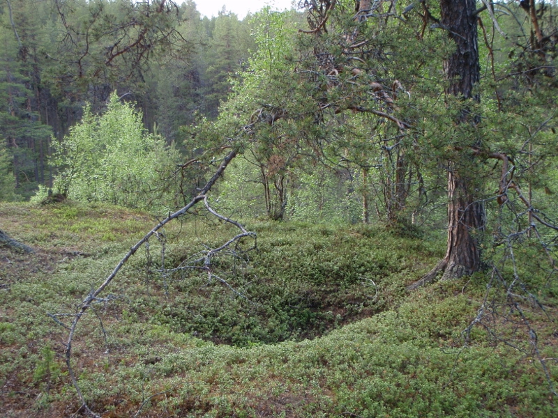 Kuva: Morgamoja. Metsähallitus. CC BY 4.0 Sami Viljamaa 2013