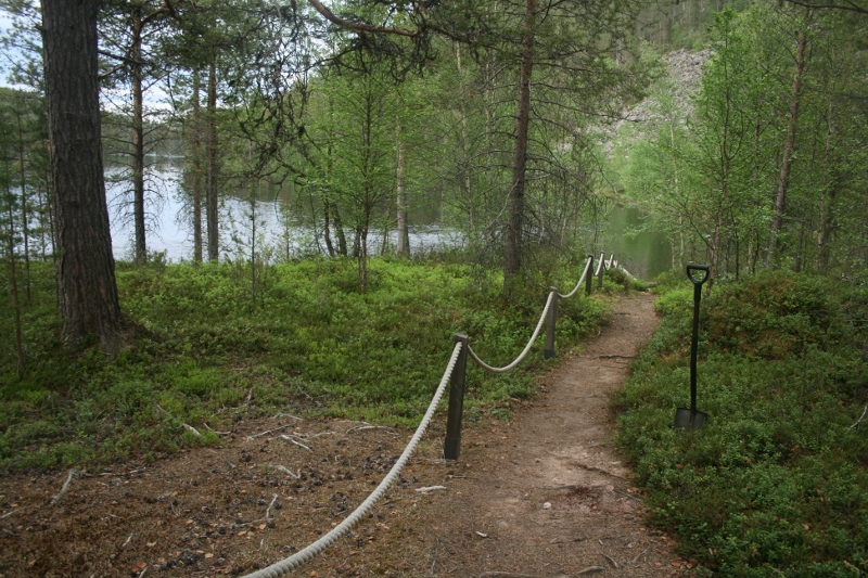 Morgamoja. Metsähallitus. CC BY 4.0 Sami Viljamaa 2013