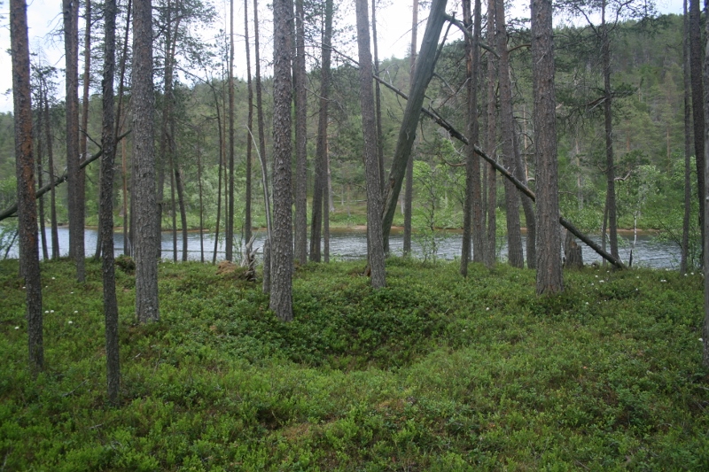 Kuva: Ravadasjärvi pohjoinen pohjoinen. Metsähallitus. CC BY 4.0 Sami Viljamaa 2013