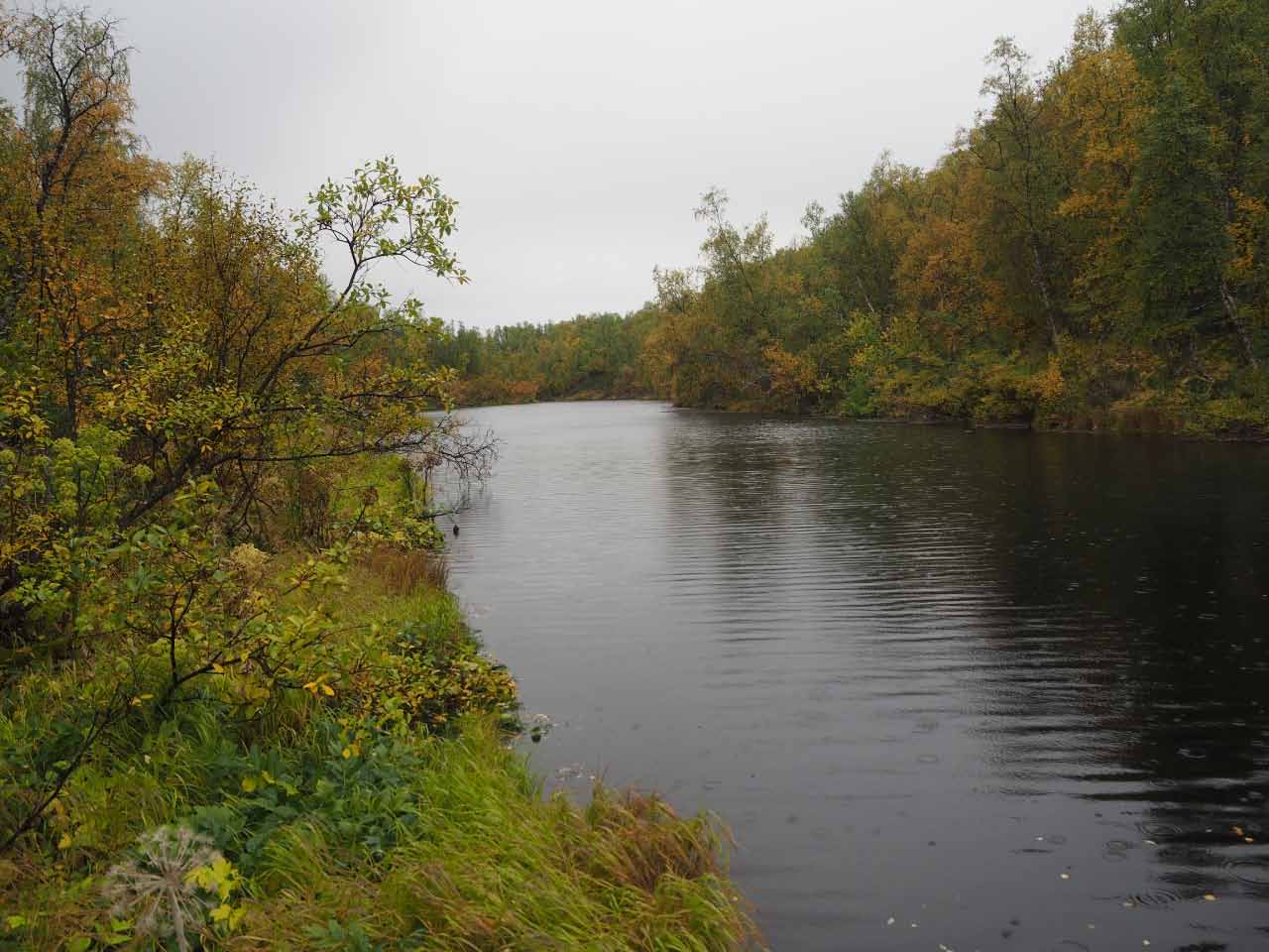 Kuva: Järven pohjassa oleva lähdealue itäosassa, kuvattu eteläkaakosta. Petri Halinen 1.9.2021