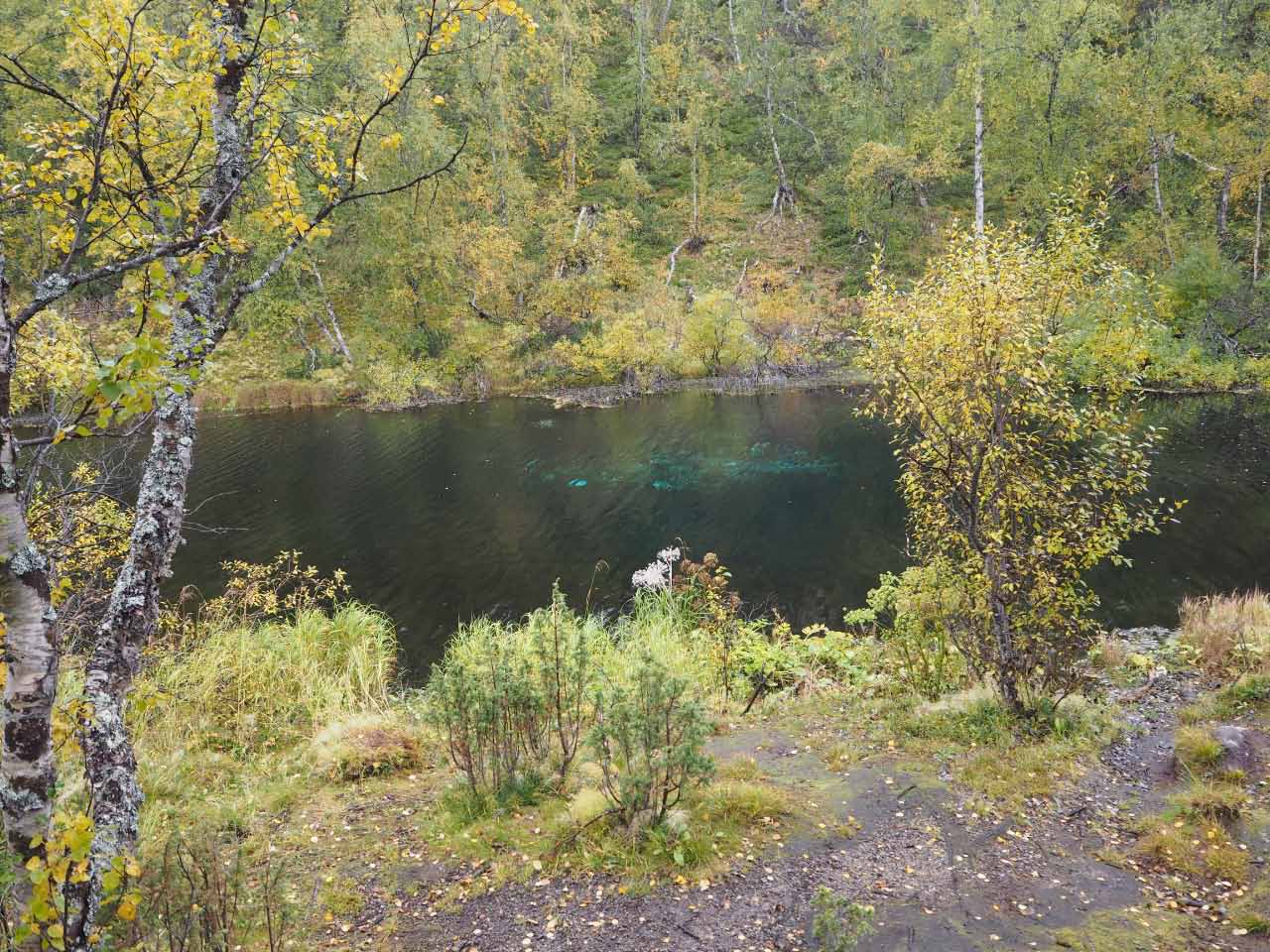 Kuva: Järven pohjassa oleva lähdealue itäosassa, kuvattu eteläkaakosta. Petri Halinen 1.9.2021