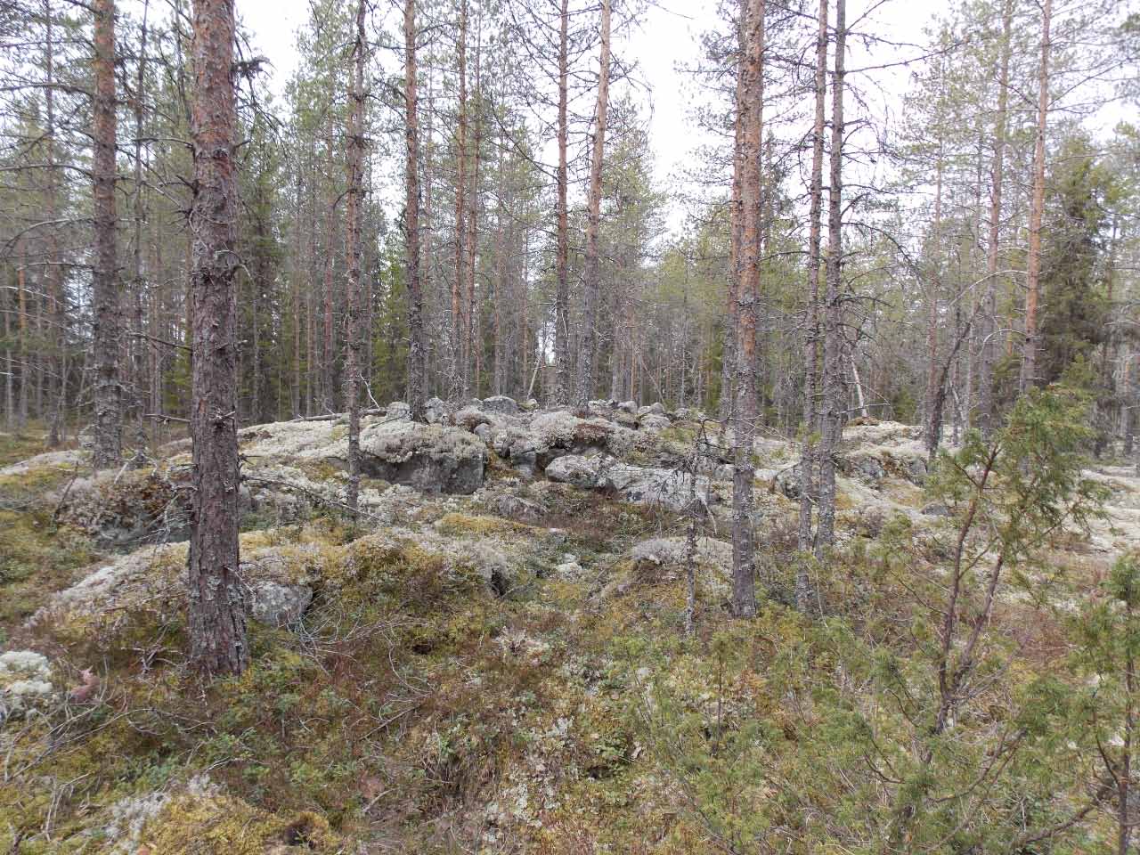 Kuva: Röykkiö 5 kaakosta. Pohjois-Pohjanmaan museo. CC BY 4.0 Mika Sarkkinen 6.5.2021