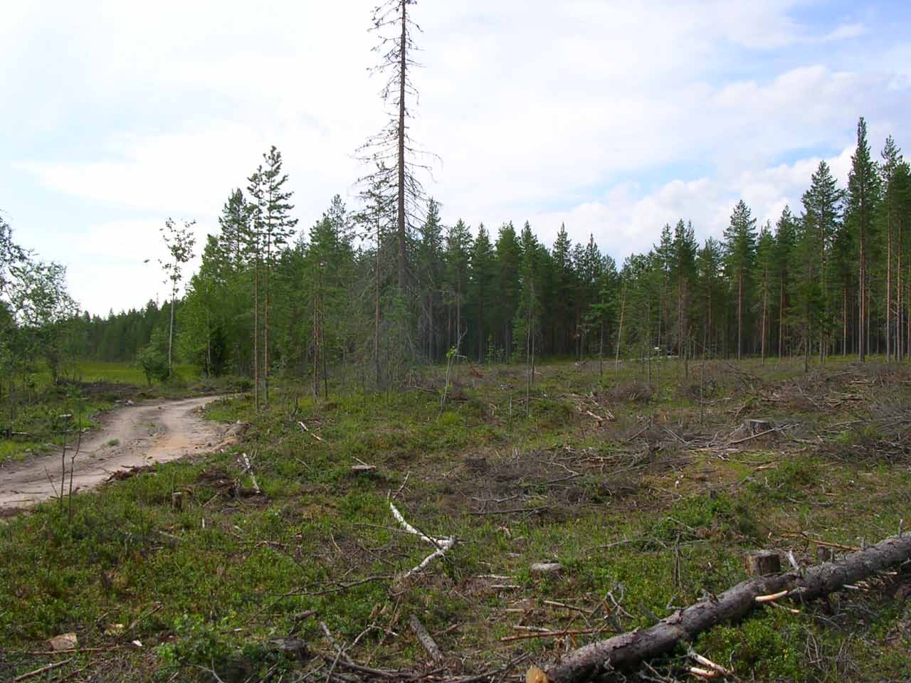 Kuva: Asuinpaikan koilliskulmaa luoteesta. Pohjois-Pohjanmaan museo. CC BY 4.0 Mika Sarkkinen 2004