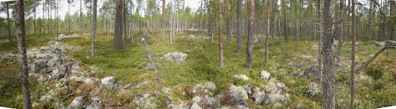 Kuva: Jätinkirkko etelästä, panoraama. Pohjois-Pohjanmaan museo. CC BY 4.0 Mika Sarkkinen 2009