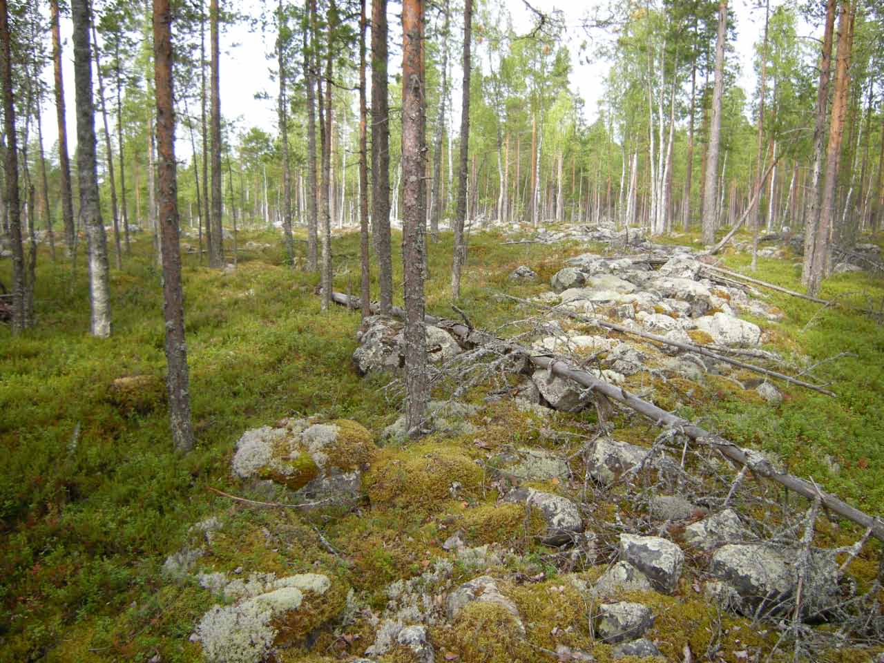 Kuva: Jätinkirkon koillista vallia kaakosta. Pohjois-Pohjanmaan museo. CC BY 4.0 Mika Sarkkinen 2009