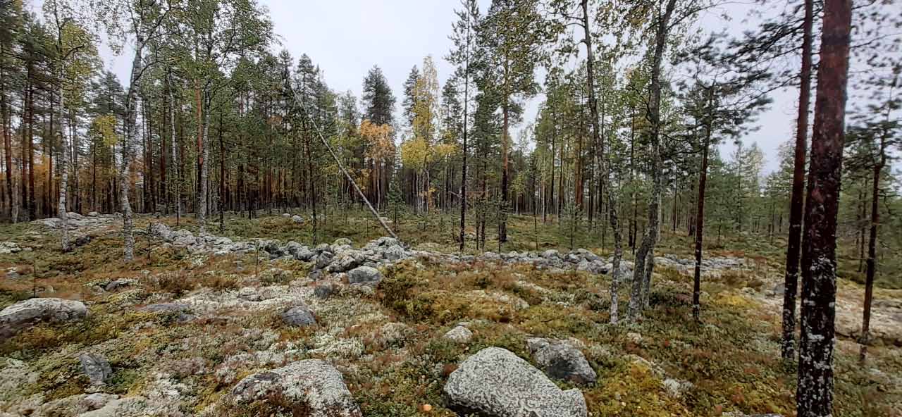 Kuva: Jätinkirkko pohjoisesta. Pohjois-Pohjanmaan museo. CC BY 4.0 Mika Sarkkinen 13.9.2021
