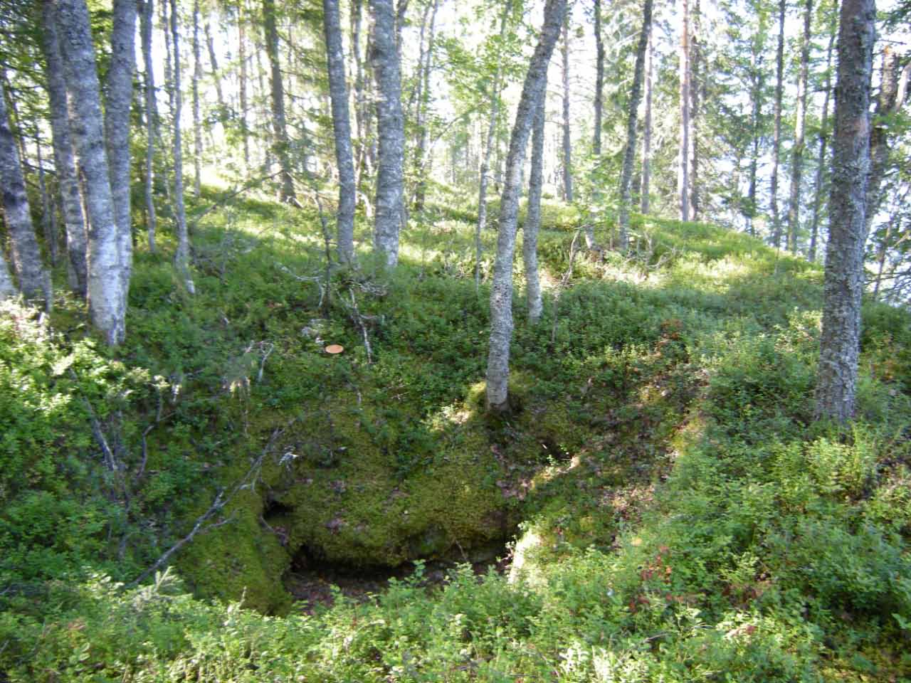 Kuva: Läntiset kammiohaudat - pohjoisemman rivin itäpäätä idästä. Pohjois-Pohjanmaan museo. CC BY 4.0 Mika Sarkkinen 2010