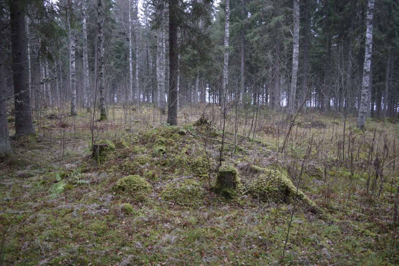 Selkeäpiirteinen raivausröykkiö. Pohjois-Karjalan museo. CC BY 4.0 Ville Hakamäki 13.10.2021