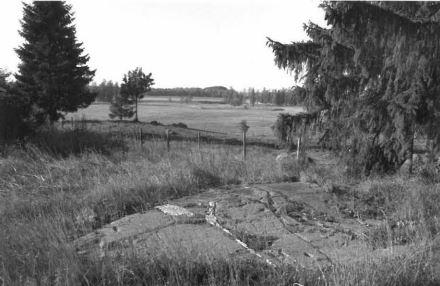 Kuva: Mahdollinen kuppikallio. Taustalla Nuoramoisjärveä. Eteläkaakosta. Sirkka-Liisa Seppälä 22.9.1999
