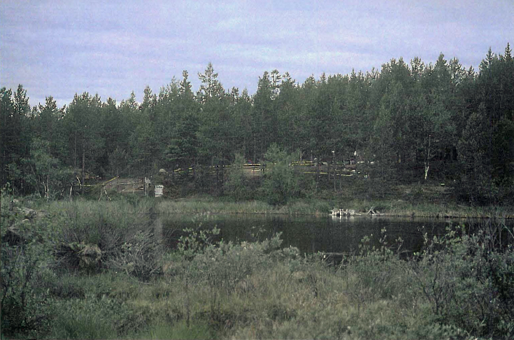 Kuva: Yleiskuva Vuopajan vuoden 1994 tutkimusalueesta Vuopajanniemeltä idästä kuvattuna. Sirkka-Liisa Seppälä 18.7.1994