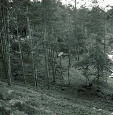 Kuva: Asuinpaikka ja eteläisin pyyntikuoppa W:stä. Vasemmalla ilmavoimien maja, oikealla Njurkulahtea. Aki Arponen 7.8.1988