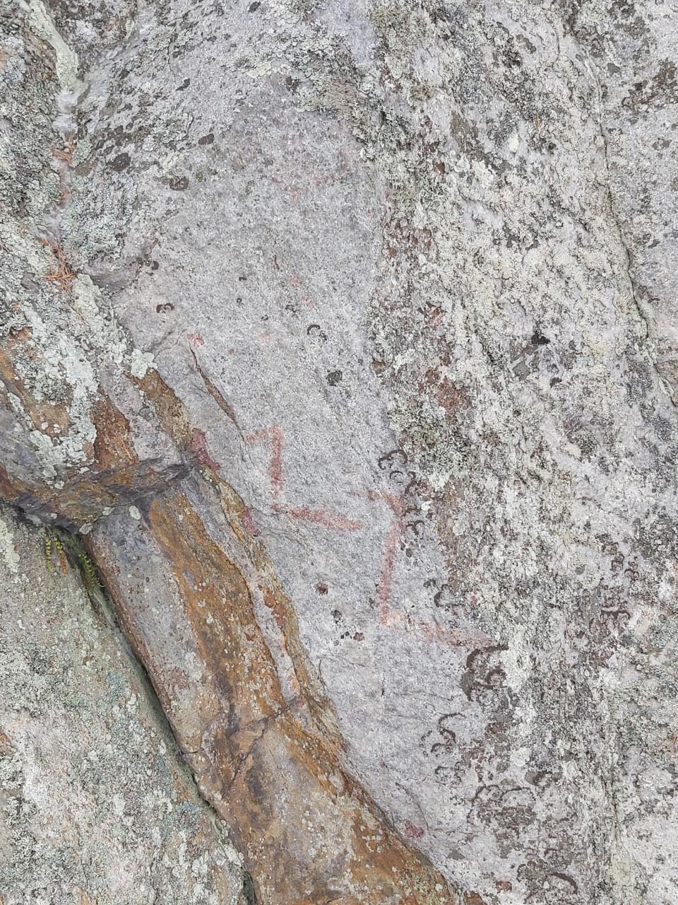 Rapakko Saunalahdenniemen siirtolohkareeseen maalattu kalliomaalaus. Metsähallitus. CC BY 4.0 Tanja Tenhunen 11.3.2022