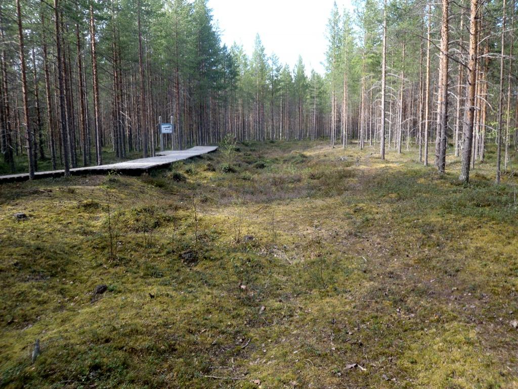 Kuva: Voima-Kuuselan kivikautinen asuinpaikka. Rivitalo 2, yleiskuva kaakosta. Hans-Peter Schulz 29.5.2012