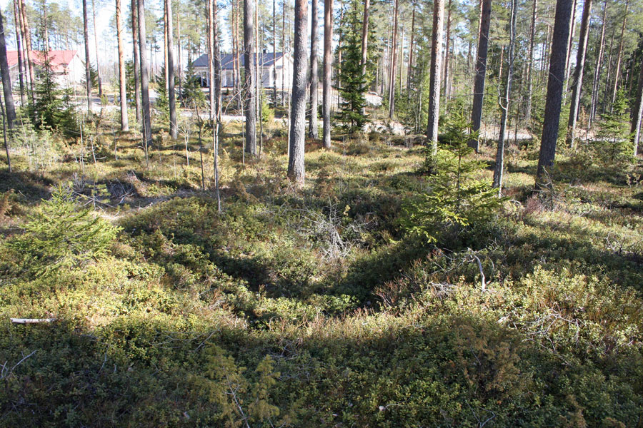 Kuva: Maakellari asuinpaikka-alueella.CC BY 4.0. Janne Rantanen 20.4.2020
