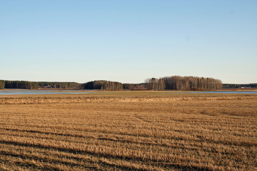 Kuva: Yleiskuva peltosaarekkeelle, jossa muinaisjäännös sijaitsee. Kuvattu lännestä. Janne Rantanen CC BY 4.0. Janne Rantanen 16.4.2021